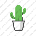 Cactus Plant01