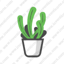 Cactus Plant02