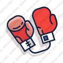 Boxing Gloves