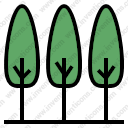 tree forest orchard ecologyenvironment pine trees landscape