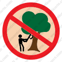 No Illegal Logging