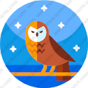 025 owl