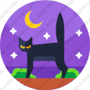 035 black cat