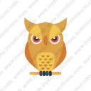 owl