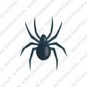 spider