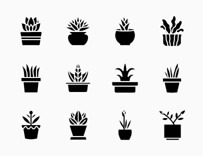 Plants in Pot