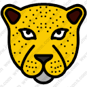 Leopard Face