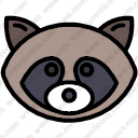 Raccoon Face