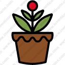 Plant Pot