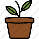 Plant Pot