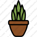 Plant Pot