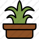 Plant Pot
