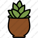 Plant Pot