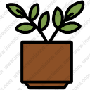 Plant Pot