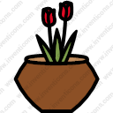 Plant Pot