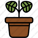 Plant Pot