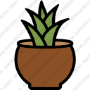 Plant Pot