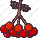 Berries