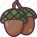 Acorn