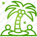 Palm Tree