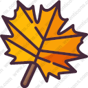 maple leaf 