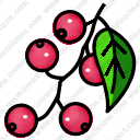 Berries