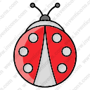 Ladybug 