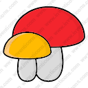 Mashroom 