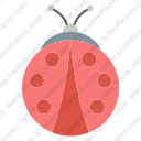 Ladybug 