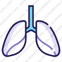 Lungs