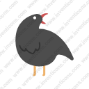 crow