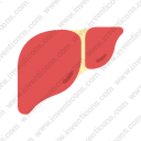 liver