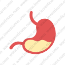 stomach