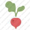 Radish