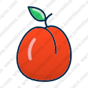 Apricot food fruit healthy food peach