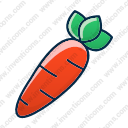 Carrot food rabbit vegetable
