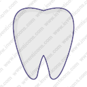 Tooth