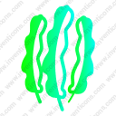 spirulina algae