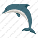 dolphin