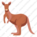 kangaroo