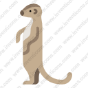 meerkat