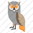 owl