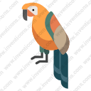 parrot