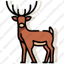 deer