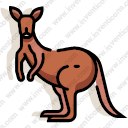 kangaroo