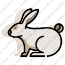 rabbit