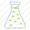 Erlenmeyer flask