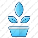 Botany