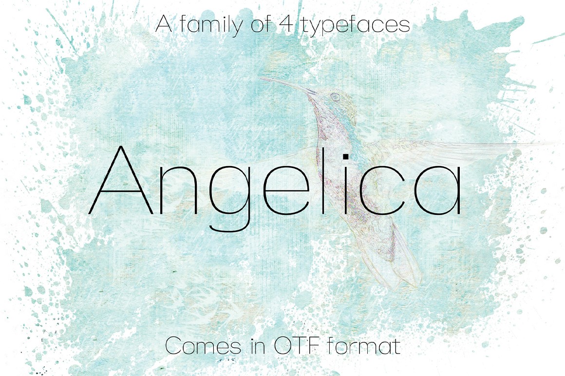 ANGELICA Typeface: A Modern Sans Serif Font