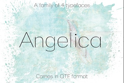 ANGELICA Typeface: A Modern Sans Serif Font